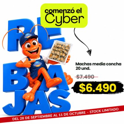 Machas media Concha 20 unidades Cyber Newmar