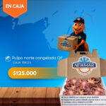 Pulpo norte congelado QF Newmar
