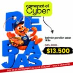 SALMÓN PORCIÓN SALAR 1 KILO | NEWMAR