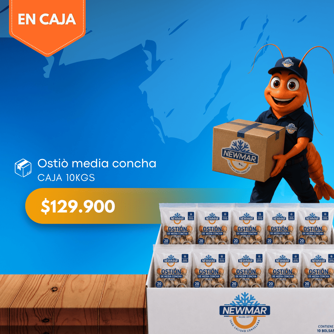 ostion macha media concha -2 OSTIÓN MEDIA CONCHA | CAJA 10 KILOS | NEWMAR