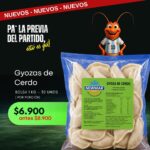 Gyozas de Cerdo Mundial Newmar