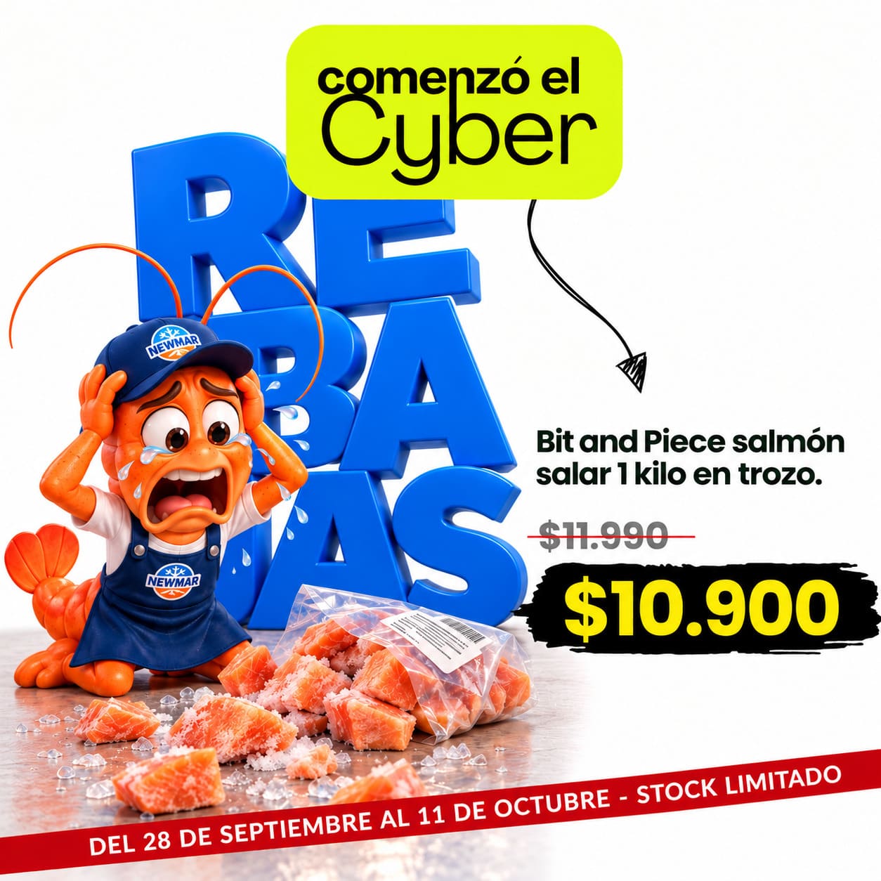 Bit and Piece Salmón Salar 1 kilo en trozo Cyber Bit and Piece Salmón Salar 1 kilo en trozo Cyber