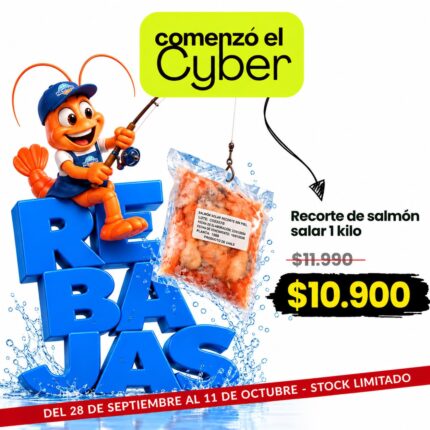 RECORTE DE SALMÓN SALAR 1 KG | NEWMAR