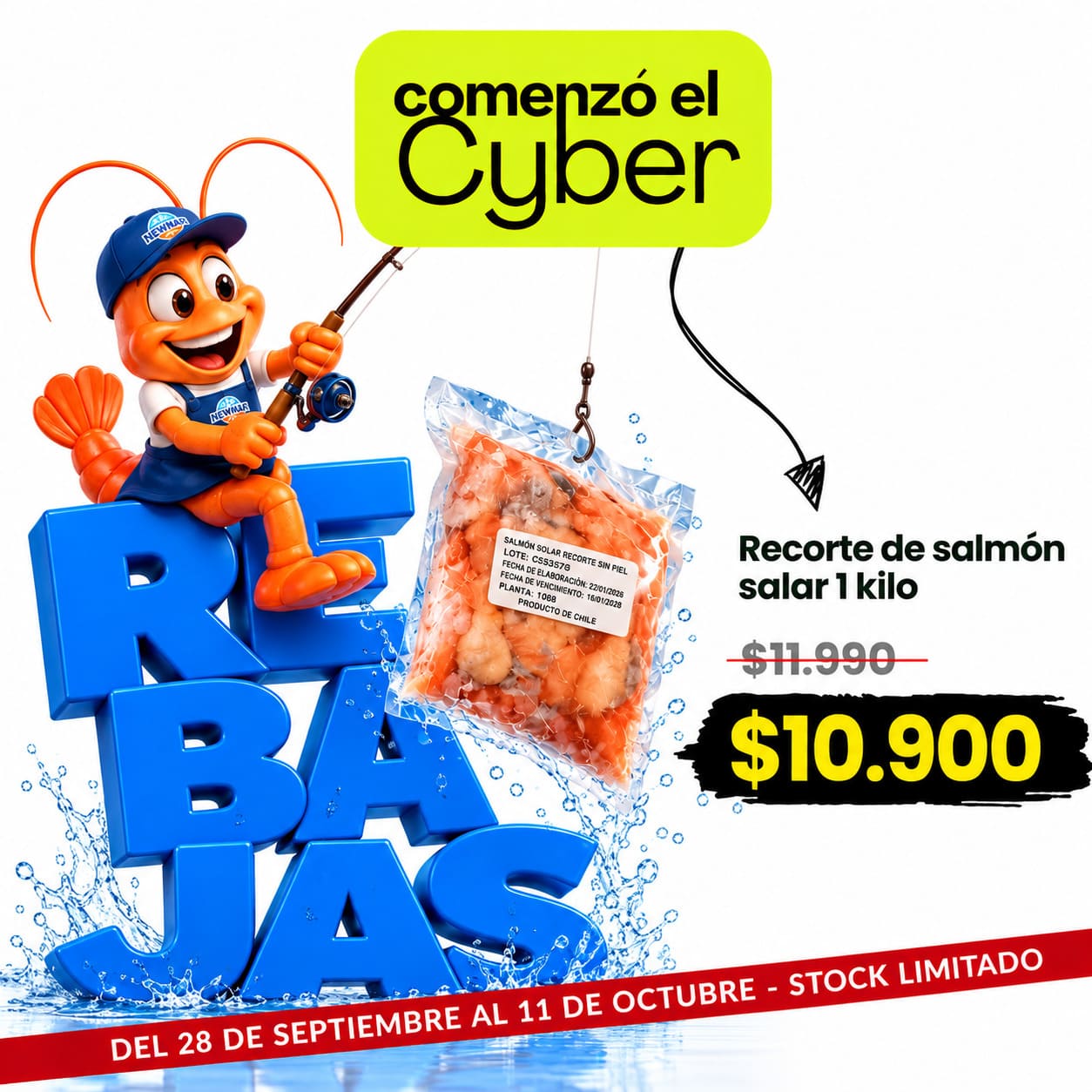 Recorte de salmón salar 1 kilo Newmar Cyber RECORTE DE SALMÓN SALAR 1 KG | NEWMAR - Imagen 1